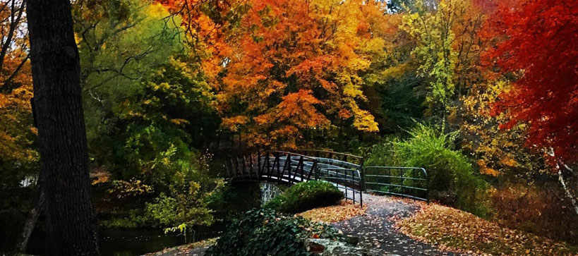 Esmond Park in the fall. Photo by Elyse Major.